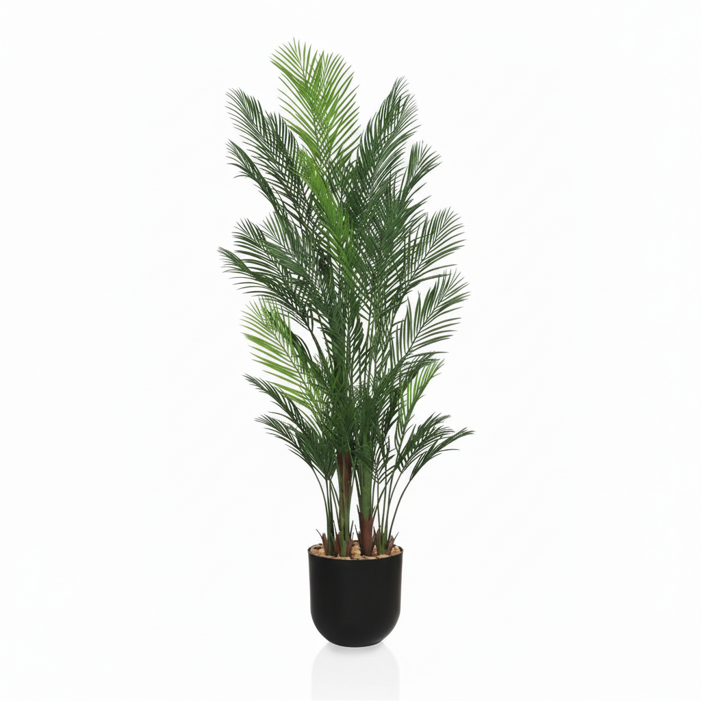 Areca Palm Tree - 6 Branches with Black Planter