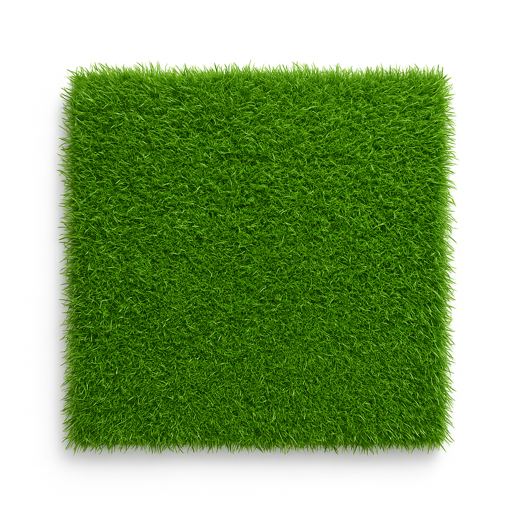MSD-ACC-GRASS-002