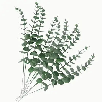 MSD-ACC-XD-0908-071-LEAVES
