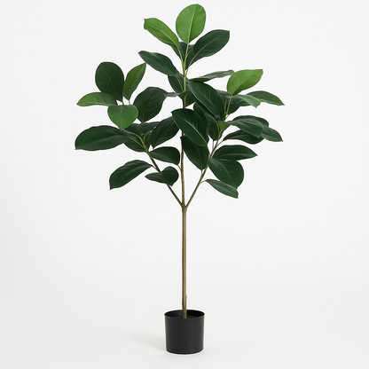 MSD-PLANT-0824-006