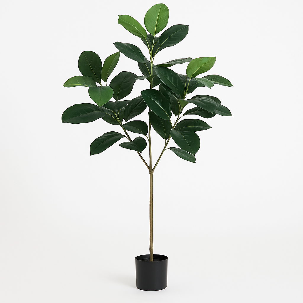 MSD-PLANT-0824-006