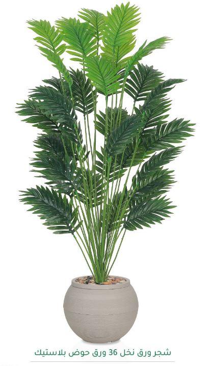 MSD-PLANT-1149-102-1-GREY