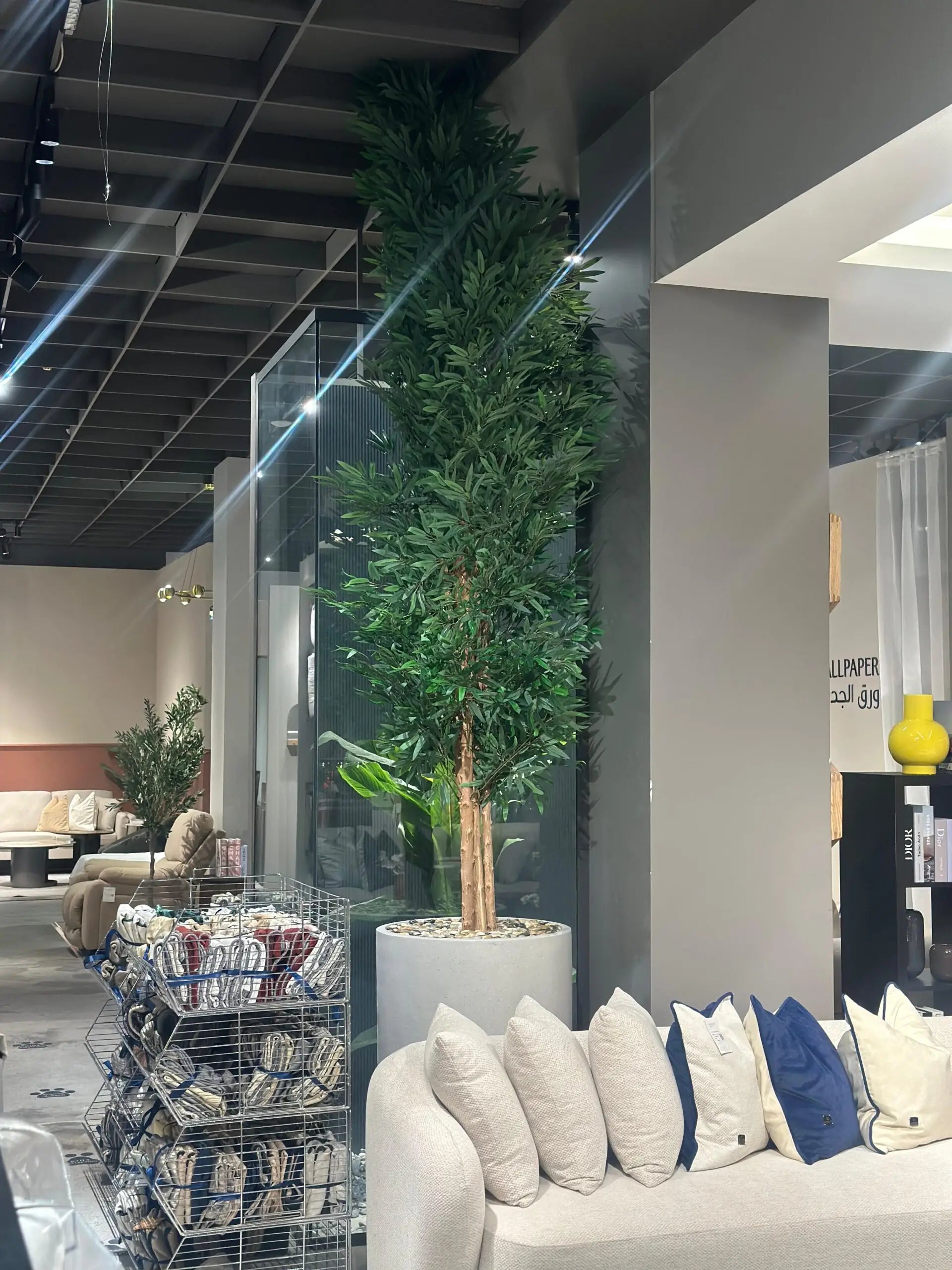 MSD-PLANT-3466-560-GY-A