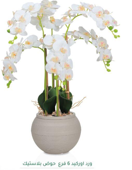 زهور أوركيد صناعية صغيرة - 6 فروع مع وعاء بيج