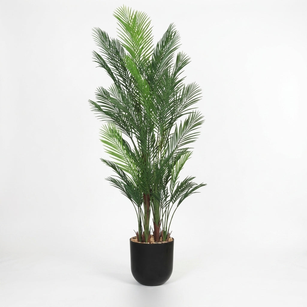 MSD-PLANT-6906-1187-BLACK