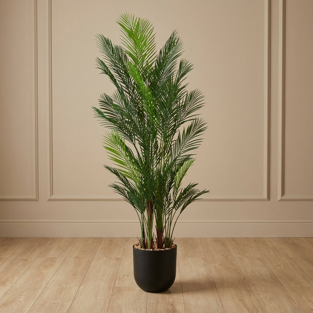 MSD-PLANT-6906-1187-BLACK