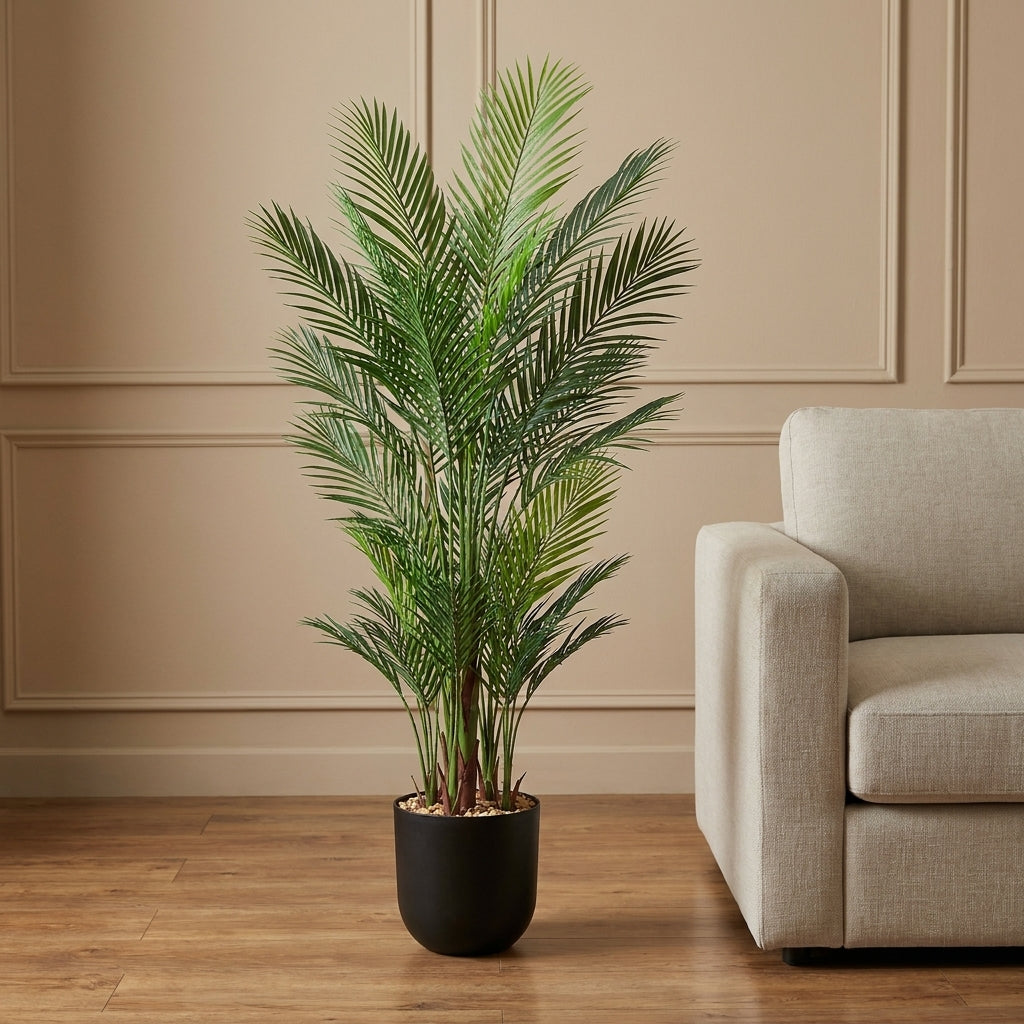 MSD-PLANT-6906-1187-BLACK