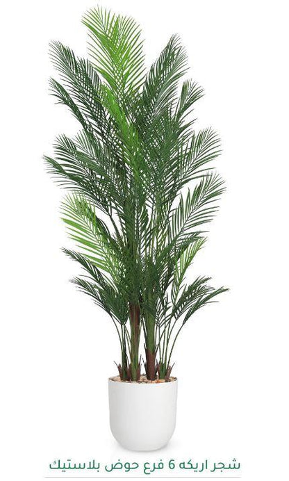 MSD-PLANT-6907-1178-WHITE