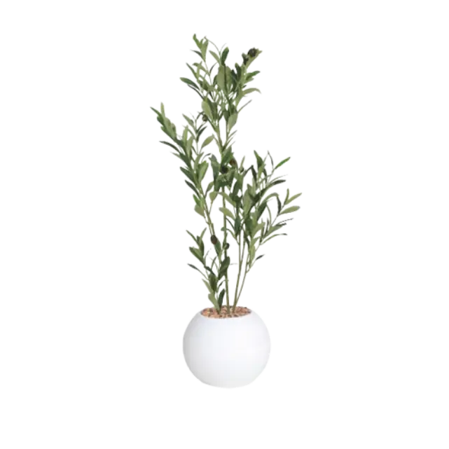 MSD-PLANT-706-528-2-WH-A