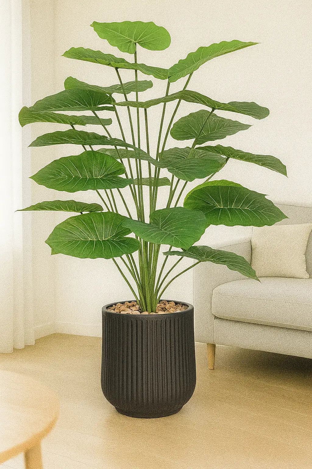 msd-plant-6611-9311-black