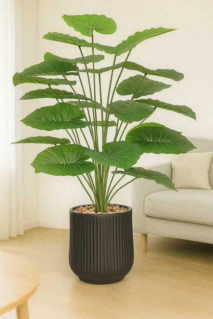 msd-plant-6611-9311-black