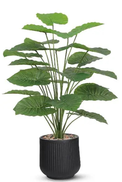 msd-plant-6611-9311-black