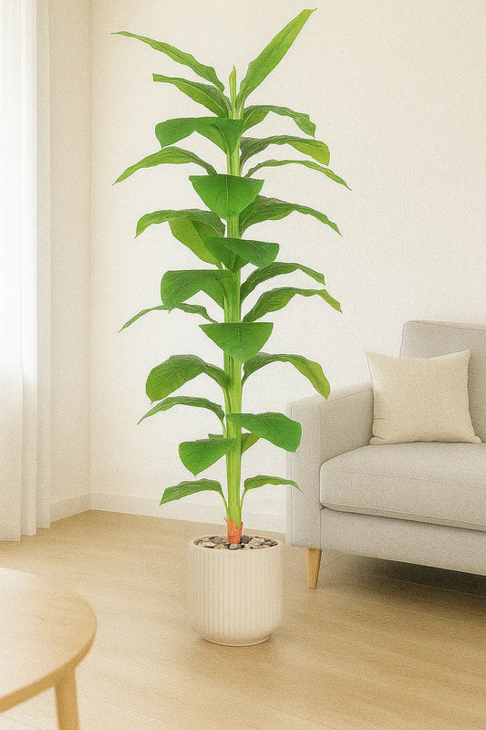 msd-plant-7611-2861-beige