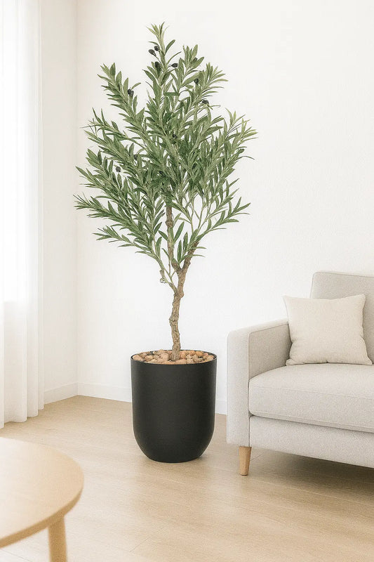 msd-plant-7711-6087-black