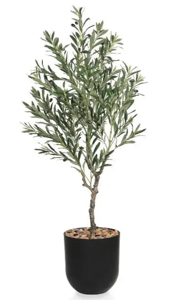 msd-plant-7711-6087-black