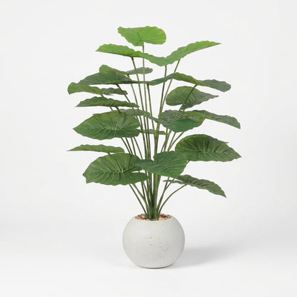 msd-plant-825-9311-beige