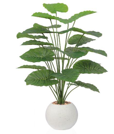 erpnext-original-source:https://www.erp.msquarebh.com/files/msd-plant-825-9311-beige.JPG