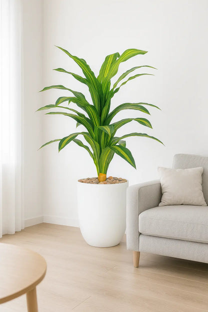 msd-plant-8711-159-white