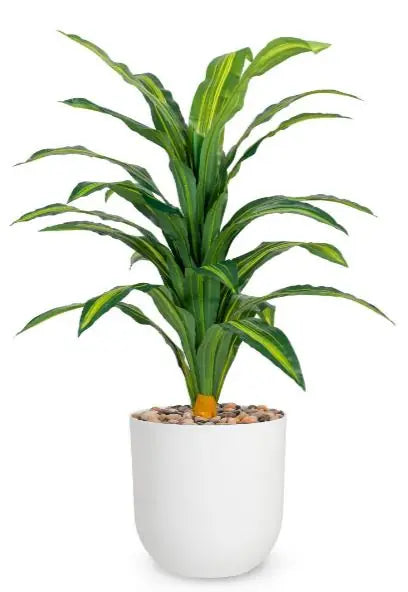 msd-plant-8711-159-white