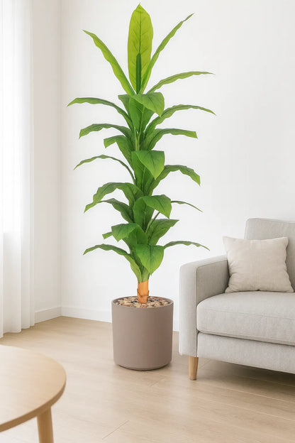 msd-plant-RS22-1961-BROWN