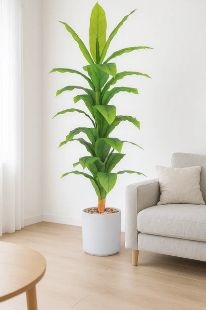 msd-plant-RS22-1961-WHITE