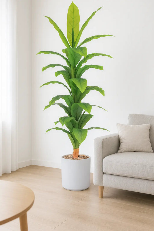 msd-plant-RS22-1961-WHITE