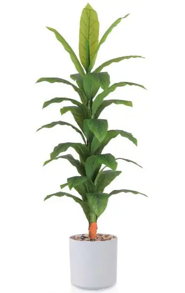 msd-plant-RS22-1961-WHITE